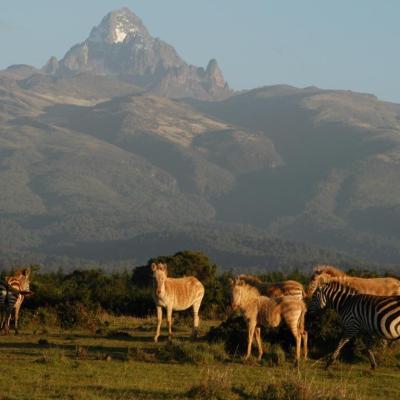 Tn I0 Wp Com Mount Kenya National Park Safaris