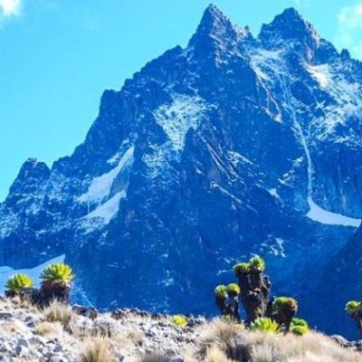 Tn Mtkenya 17