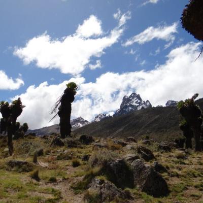 Tn View Towards Summit On Naro Moru Route 1