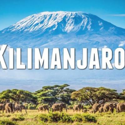 Tn Kilimanjaro 1024x576