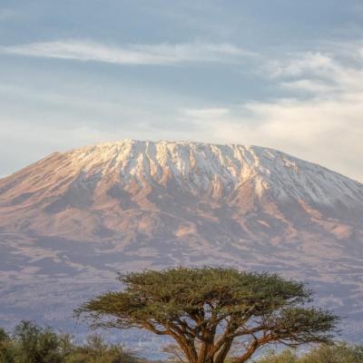 Tn Kilimanjaro From Rongai Route