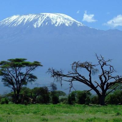 Tn Kilimanjaro Kenya Main Image