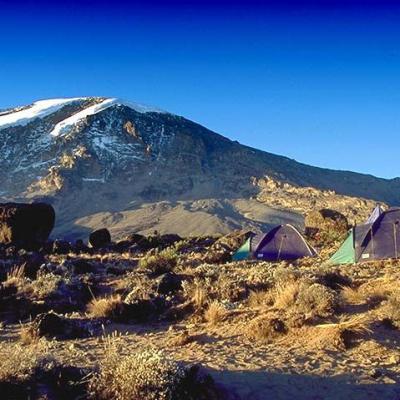Tn Kilimanjaro01