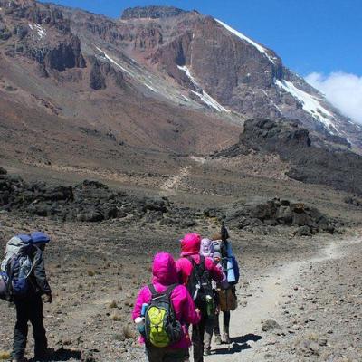 Tn Rongai Route Kilimanjaro Trek