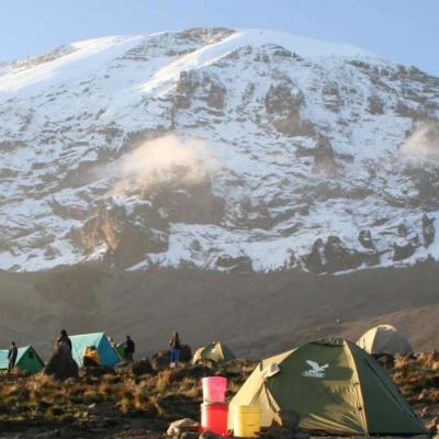 Tn Shira Camp Kilimanjaro