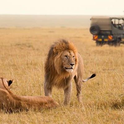Tn 7 Days Kenya Wildlife Safari