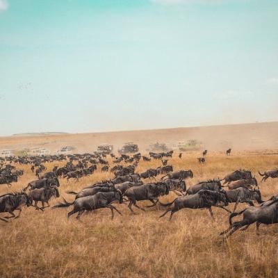 Tn Img Veenaworld Com Harshil Gudka 556417 Unsplash