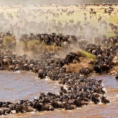 Tn Mara River Crossing 2