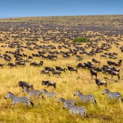 Tn Masai 2 750x450