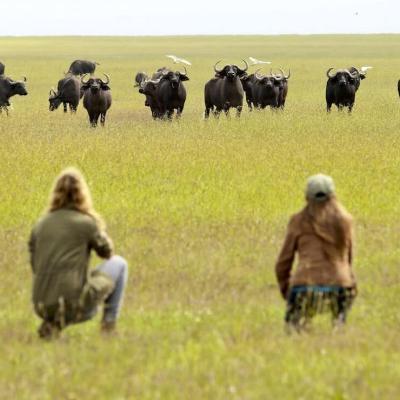 Tn Ol Pejeta Bush Camp Walking Safari