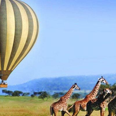 Tn Ruaha Balloon Experience